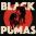 Black Pumas